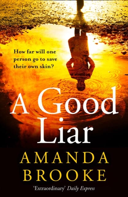 A Good Liar by Amanda Brooke Extended Range HarperCollins Publishers