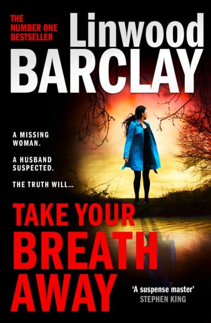 Take Your Breath Away by Linwood Barclay Extended Range HarperCollins Publishers