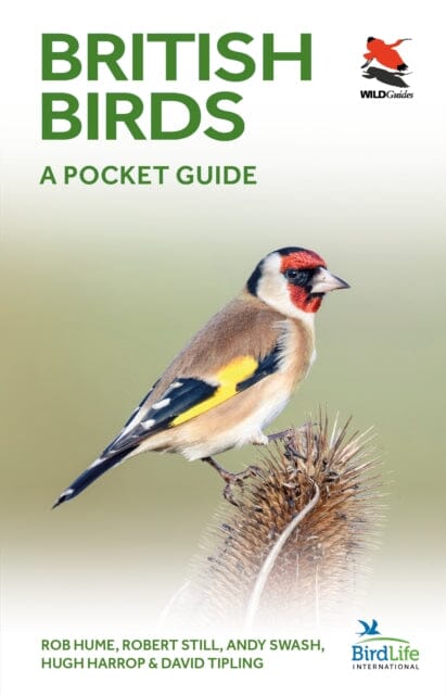 British Birds: A Pocket Guide by Rob Hume Extended Range Princeton University Press