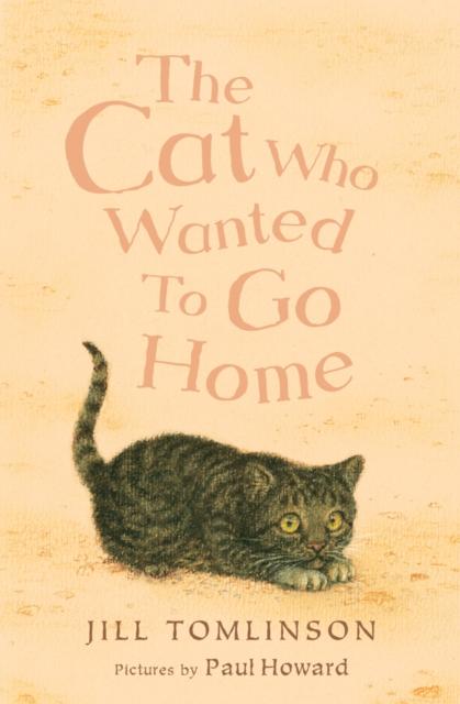 The Cat Who Wanted to Go Home Popular Titles Egmont UK Ltd