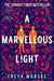 A Marvellous Light : a dazzling, queer romantic fantasy Extended Range Pan Macmillan