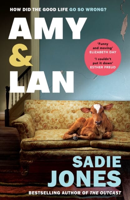 Amy and Lan : The enchanting new novel from the Sunday Times bestselling author of The Outcast by Sadie Jones Extended Range Vintage Publishing