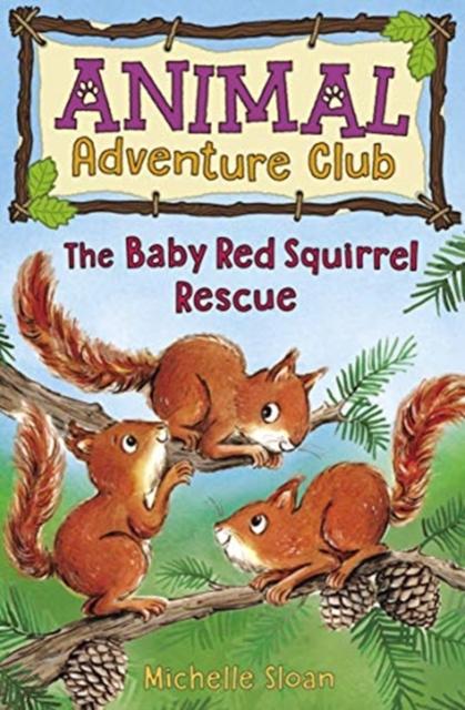 The Baby Red Squirrel Rescue (Animal Adventure Club 3) Popular Titles Floris Books
