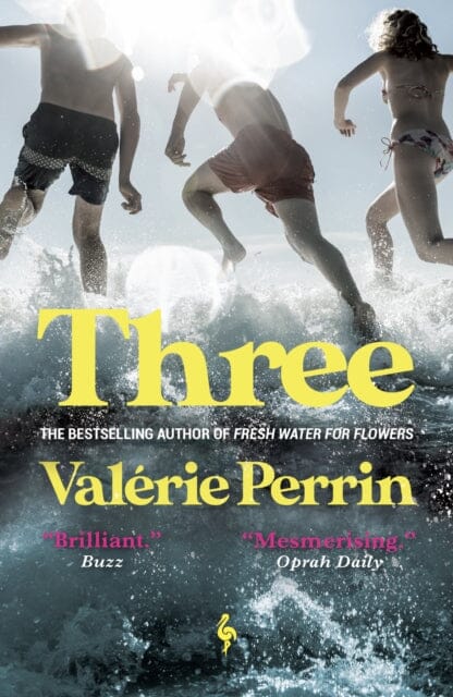 Three : From the bestselling author of Fresh Water for Flowers by Valerie Perrin Extended Range Europa Editions (UK) Ltd