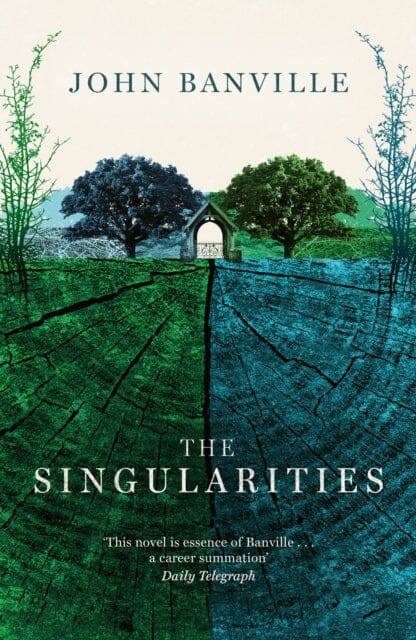 The Singularities by John Banville Extended Range Swift Press