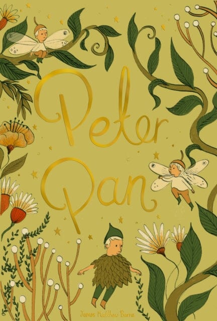 Peter Pan by J. M. Barrie Extended Range Wordsworth Editions Ltd