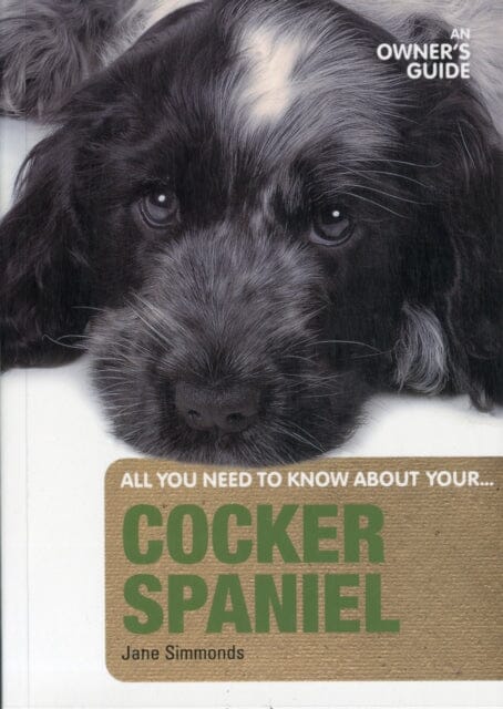 Cocker Spaniel: An Owner's Guide by Jane Simmonds Extended Range First Stone Publishing