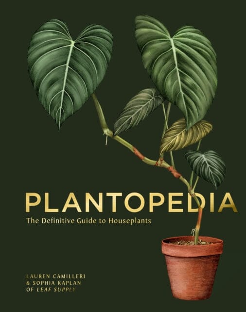 Plantopedia: The Definitive Guide to House Plants by Lauren Camilleri Extended Range Smith Street Books