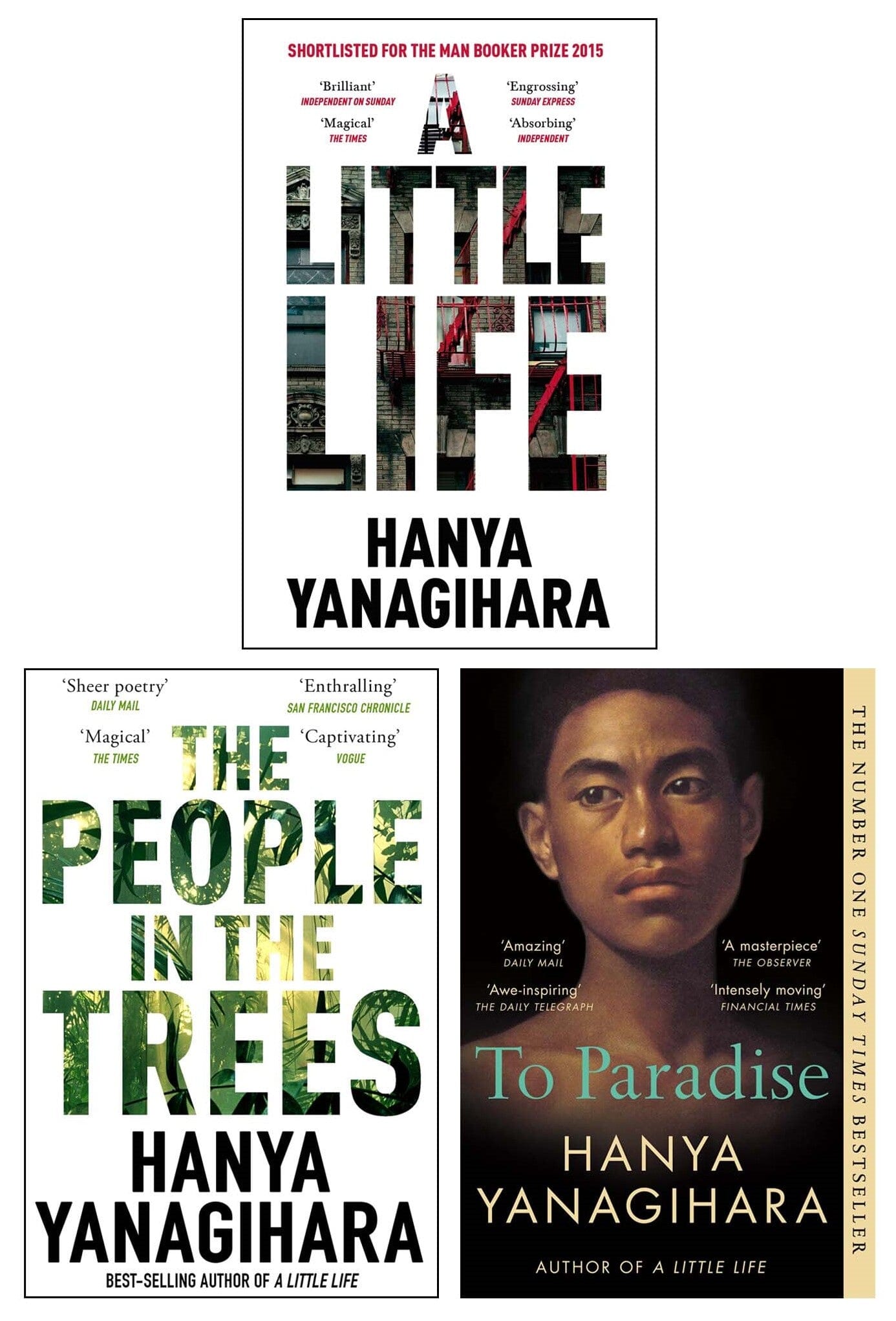 A Little Life by Hanya Yanagihara 3 Books Set — Books2Door