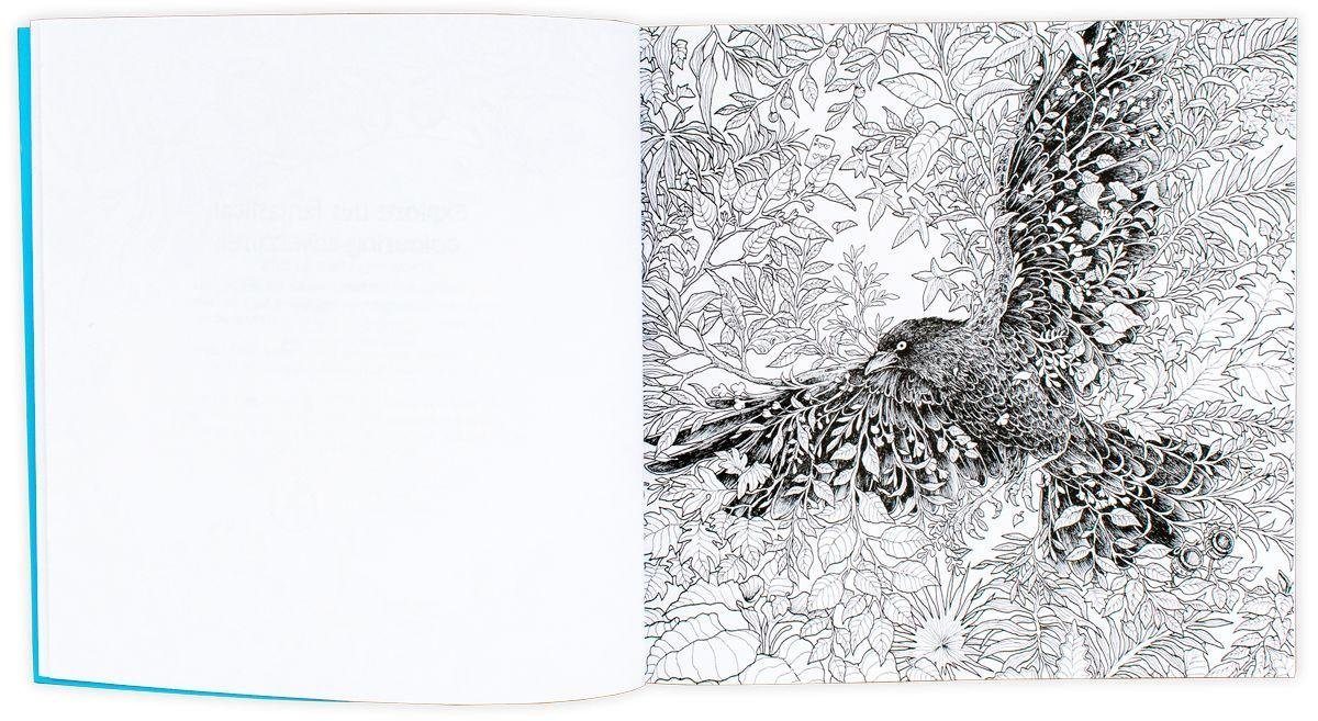 Fantomorphia: An Extreme Colouring and Search Challenge - Paperback - Kerby Rosanes LOM ART (Michael O'Mara)