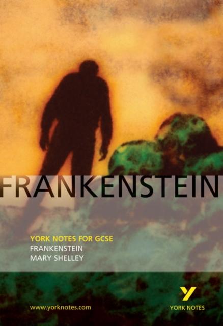 Frankenstein: York Notes for GCSE Popular Titles Pearson Education Limited