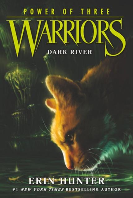 Warriors: Power of Three #2: Dark River Popular Titles HarperCollins Publishers Inc