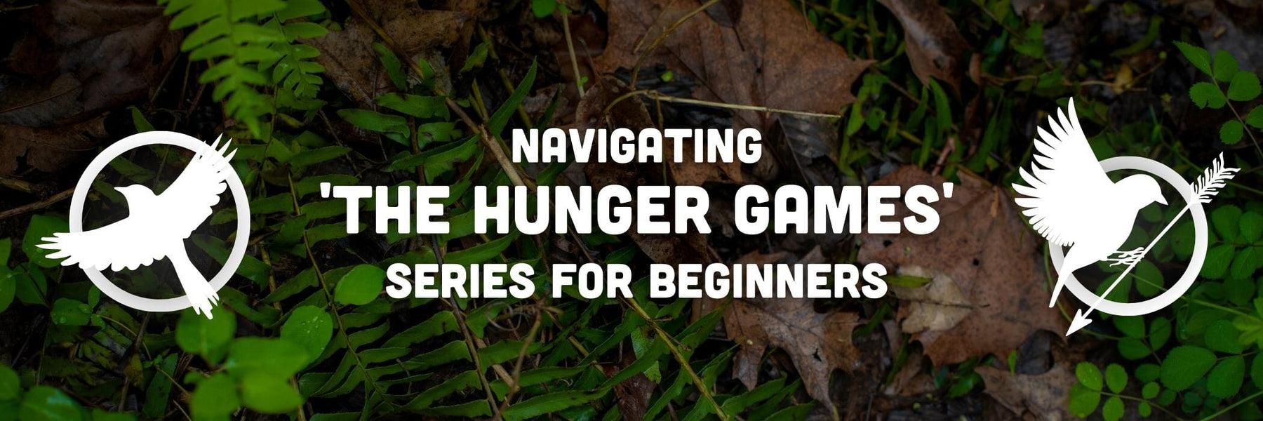 Panem Unveiled: Navigating 'The Hunger Games' Series for Beginners