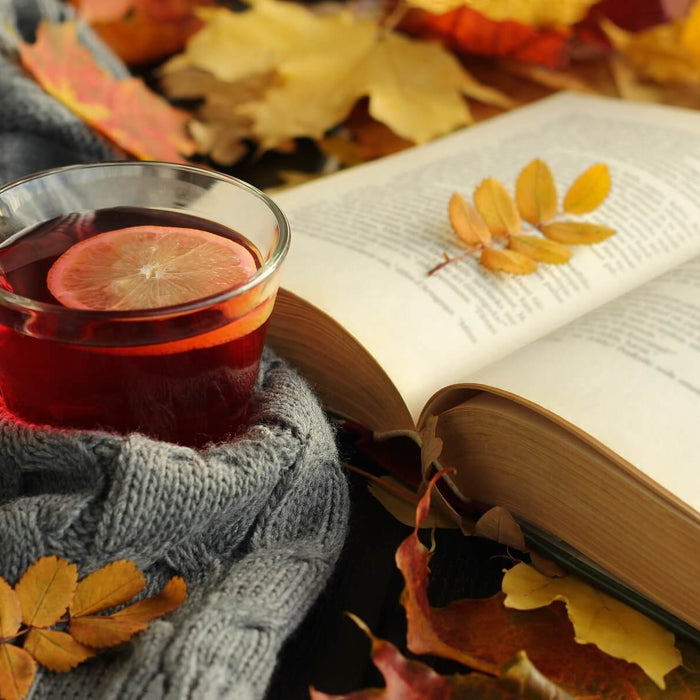The Perfect Books for Autumn