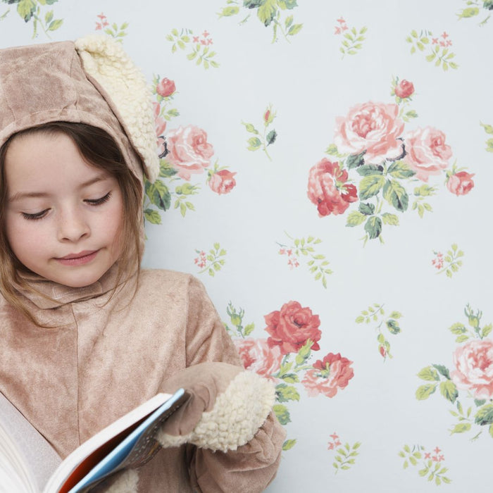 World Book Day Costume Ideas