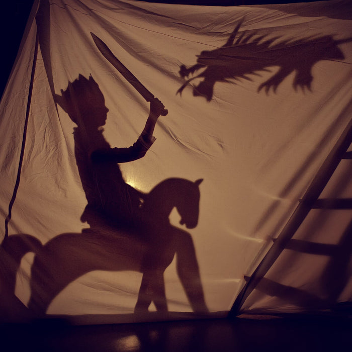 Fairy tales retold for Young Adult (YA) readers