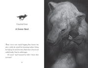 The Lone Husky by Hannah Gold - Ages 8+ - Hardback 7-9 HarperCollins Publishers