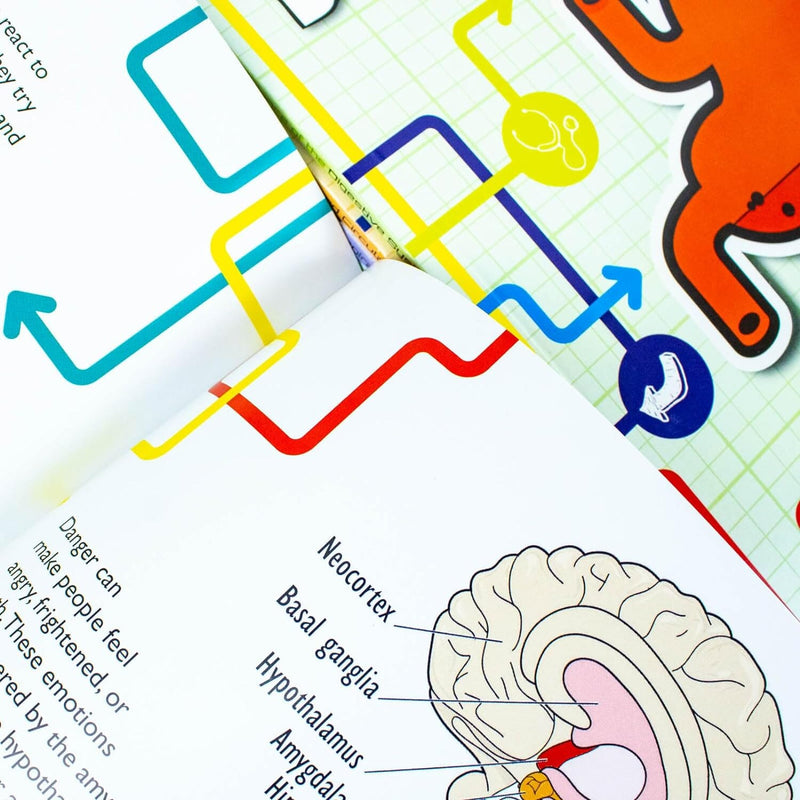 Flowchart Human Body Flowchart Explorers Human Body Series 6 Books Collection Set - Ages 9 ...