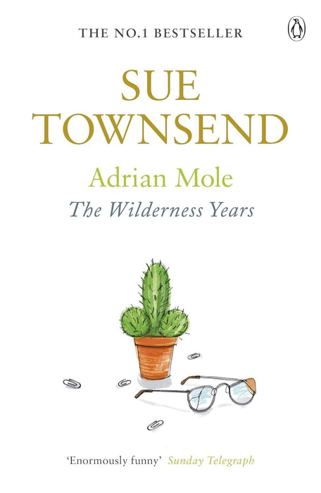 The Wilderness Years (Adrian Mole Series) by Sue Townsend - Fiction - Paperback Fiction Penguin