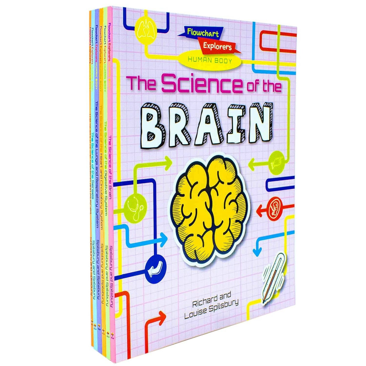 Flowchart Human Body Flowchart Explorers Human Body Series 6 Books Collection Set - Ages 9 ...