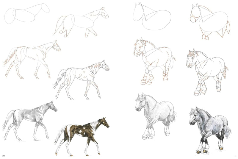 How to Draw Series: Horses, Farm Animals, Sea Creatures, Puppies & Kittens 5 Books Collection Set - Non Fiction - Paperback Non-Fiction Search Press Ltd
