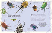 An Anthology of Remarkable Bugs: Discover the Hidden Wonders of the Insect World (DK Children's Anthologies) by Jess French - Ages 7+ - Hardback 7-9 DK Children