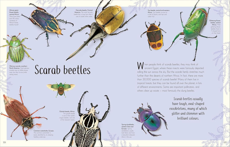 An Anthology of Remarkable Bugs: Discover the Hidden Wonders of the Insect World (DK Children's Anthologies) by Jess French - Ages 7+ - Hardback 7-9 DK Children