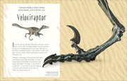Dinosaurs and Other Prehistoric Life (DK Children's Anthologies) by Prof Anusuya Chinsamy-Turan - Ages 6+ - Hardback 5-7 DK Children