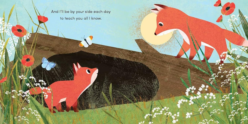 When I Became Series By Susannah Shane (Brother, Grandad & Granny): 3 Picture Books Collection Set - Ages 2-5 - Paperback 0-5 Nosy Crow Ltd
