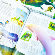 Universal Knowledge Library Series: Animals and Nature 8 Books Collection Set - Ages 7+ - Paperback 7-9 Fox Eye Publishing
