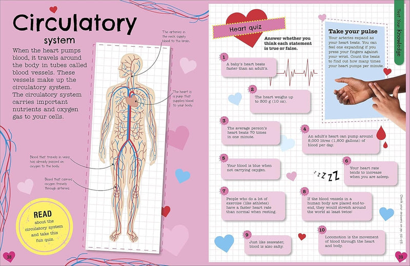 The Fact-Packed Activity Book: Human Body by DK - Ages 5+ - Paperback 5-7 DK