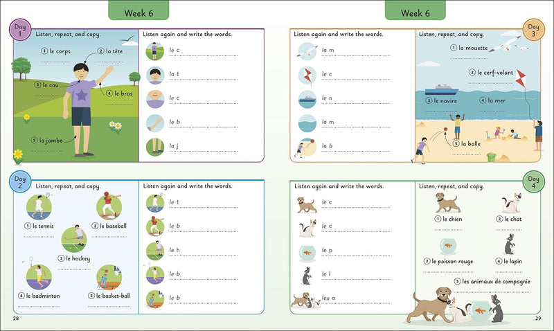 French for Everyone Junior 5 Words a Day: Learn and Practise 1,000 French Words - Ages 6-9 - Flexibound 7-9 DK Children