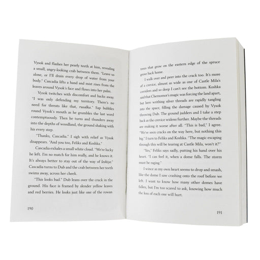 The House with Chicken Legs By Sophie Anderson 4 Books Collection Set - Age 8-12 - Paperback 9-14 Usborne Publishing Ltd