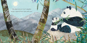 When I Became Series By Susannah Shane (Brother, Grandad & Granny): 3 Picture Books Collection Set - Ages 2-5 - Paperback 0-5 Nosy Crow Ltd