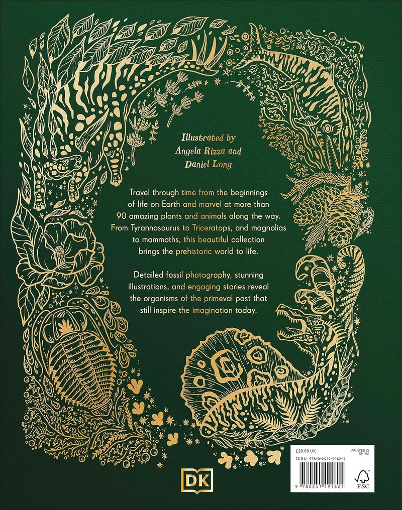 Dinosaurs and Other Prehistoric Life (DK Children's Anthologies) by Prof Anusuya Chinsamy-Turan - Ages 6+ - Hardback 5-7 DK Children