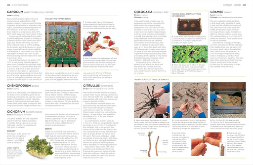 RHS Propagating Plants: How to Create New Plants For Free (New Edition) - Non Fiction - Hardback Non-Fiction DK