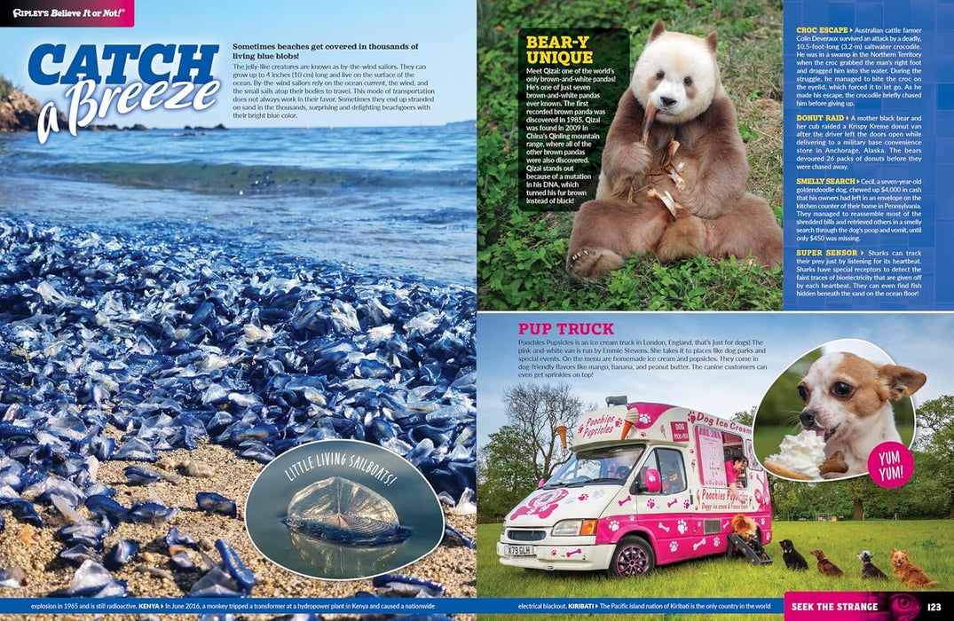 Ripley’s Believe It or Not! 2026: The Ultimate Fact-Filled Annual - Non Fiction - Hardback Non-Fiction Penguin Random House