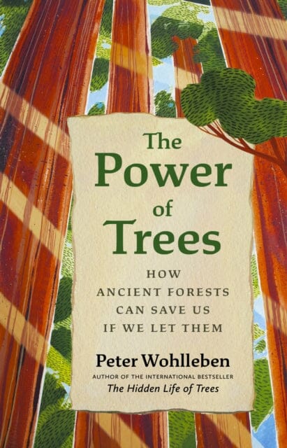 The Power of Trees : How Ancient Forests Can Save Us if We Let Them by Peter Wohlleben Extended Range Greystone Books,Canada