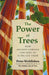 The Power of Trees : How Ancient Forests Can Save Us if We Let Them by Peter Wohlleben Extended Range Greystone Books,Canada