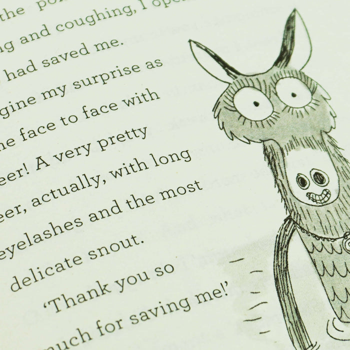 Grimwood Collection by Nadia Shireen 3 Books Set - Ages 5+ - Paperback 7-9 Simon & Schuster