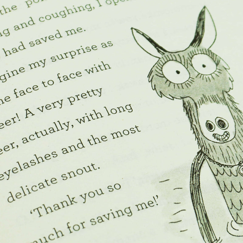 Grimwood Collection by Nadia Shireen 3 Books Set - Ages 5+ - Paperback 7-9 Simon & Schuster