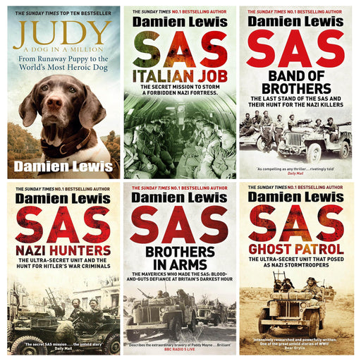 SAS By Damien Lewis 6 Books Collection set - Non fiction -Paperback Non-Fiction Quercus Publishing