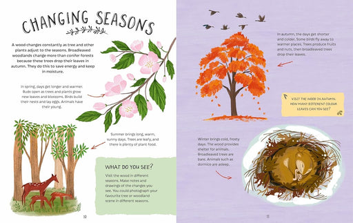 Adventures in Nature Series by Jen Green Illustrated 3 Picture Books Collection Set - Ages 7+ - Paperback 7-9 Hachette