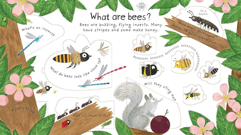 Why Do We Need Bees? (Usborne: Lift-the-Flap First Questions and Answers) by Katie Daynes - Ages 4+ - Board Book 3-5 Usborne Publishing Ltd
