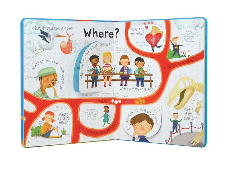 Usborne: Lift the Flap Questions & Answers about your Body by Katie Daynes - Ages 4+ - Board Book 3-5 Usborne Publishing Ltd