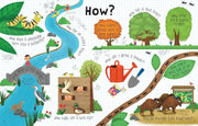 Usborne: Lift the Flap Questions and Answers About Nature by Katie Daynes - Ages 5+ - Board Book 5-7 Usborne Publishing Ltd