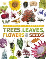 Our World in Pictures: Trees, Leaves, Flowers & Seeds: A visual encyclopedia of the plant kingdom by DK - Non Fiction - Hardback 9-14 DK Children