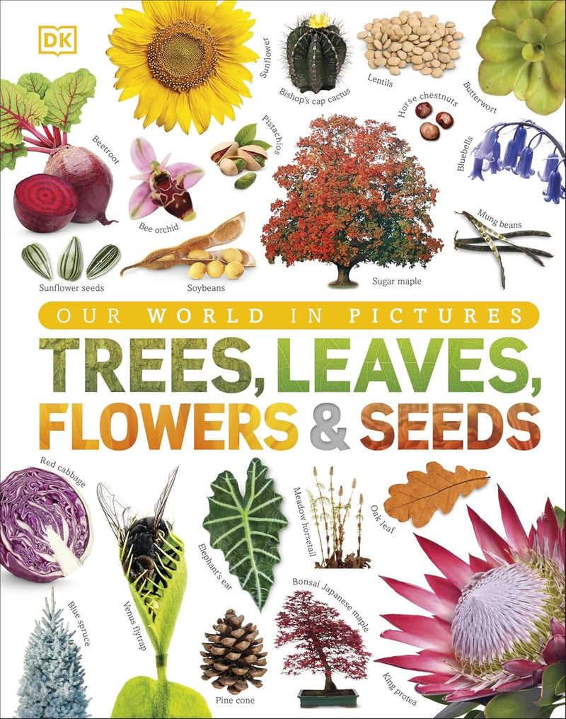 Our World in Pictures: Trees, Leaves, Flowers & Seeds: A visual encyclopedia of the plant kingdom by DK - Non Fiction - Hardback 9-14 DK Children