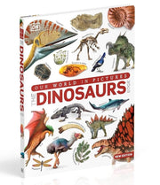 Our World in Pictures: The Dinosaurs Book by DK - Ages 9-12 - Hardback Non-Fiction DK