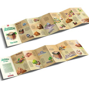 Footsteps of Muhammad SAW: A Puzzle Adventure Following the Prophet's Life SAW by Zaheer Khatri Ages 6+ - Board Book 5-7 Learning Roots